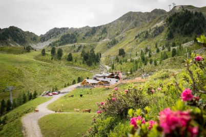 Balbach Alm Balbach Alm