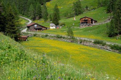 Larstigalm Sommer Larstigalm Sommer