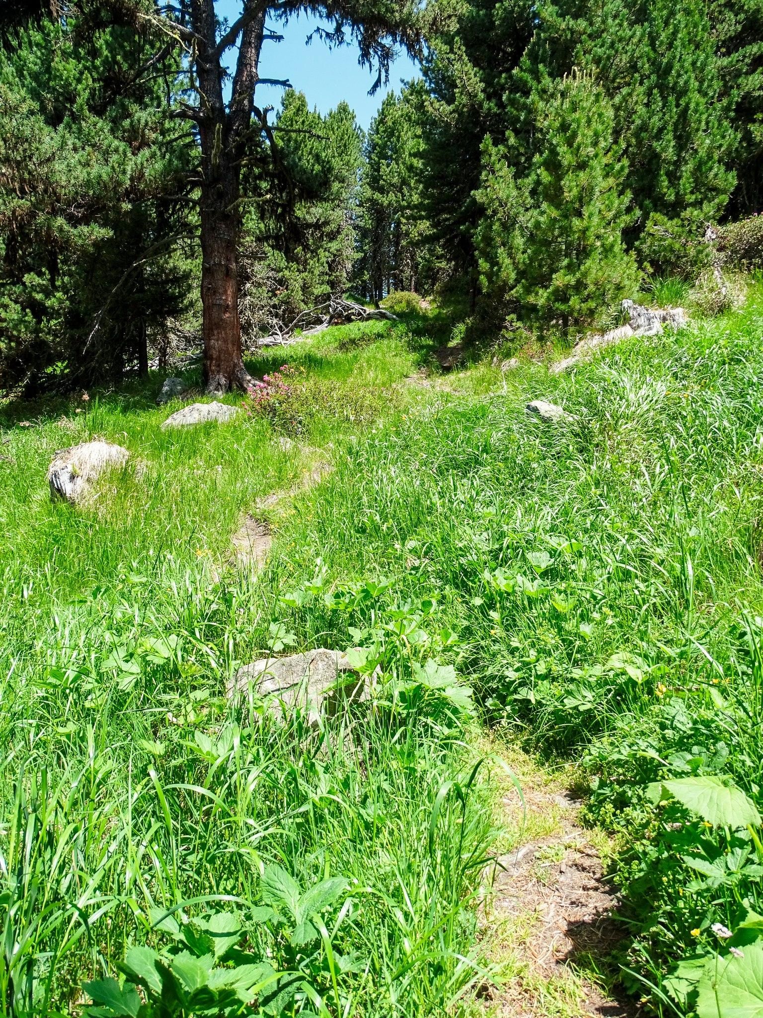 Wanderweg zum Mutsbühl