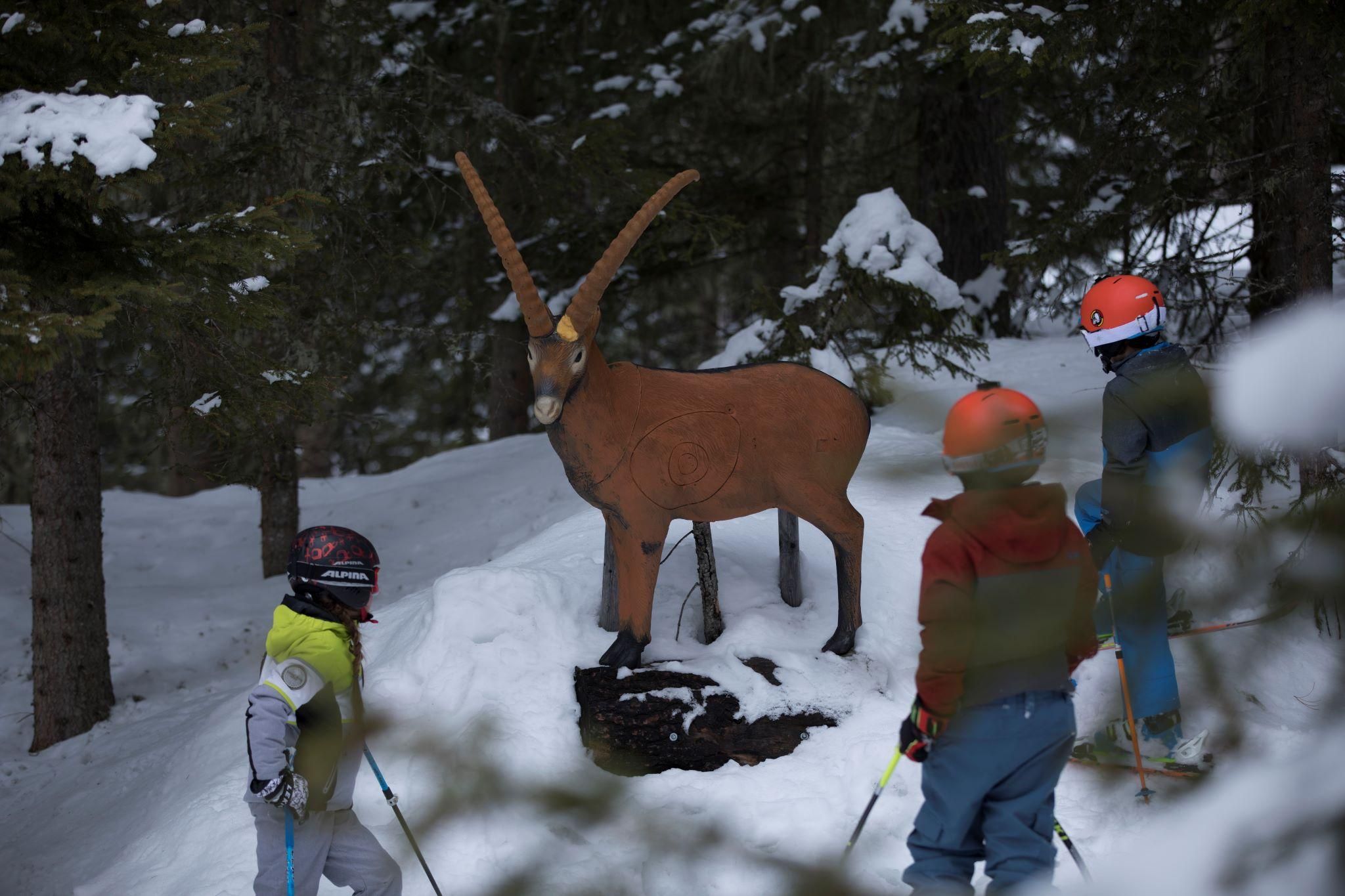 hochoetz_skifahren_39_18