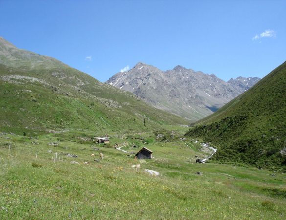 Zwieselbach Alm Zwieselbach Alm