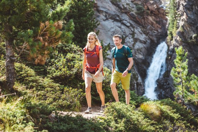 Zirbenwald8 Zirbenwald8