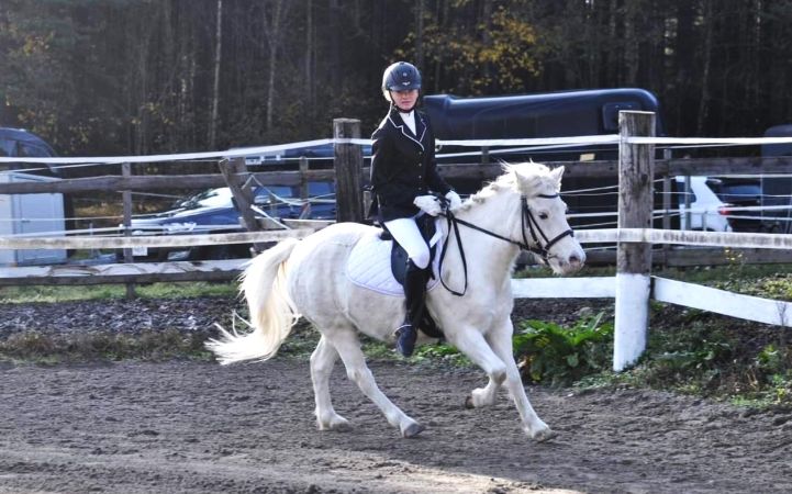 Reiten Reiten