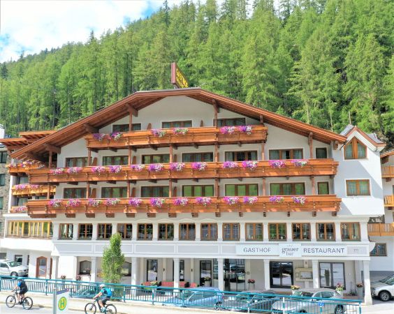 Grauer Bär Sommer Grauer Bär Sommer