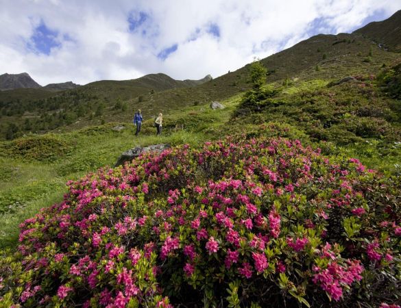 Wanderung Horlachtal Wanderung Horlachtal
