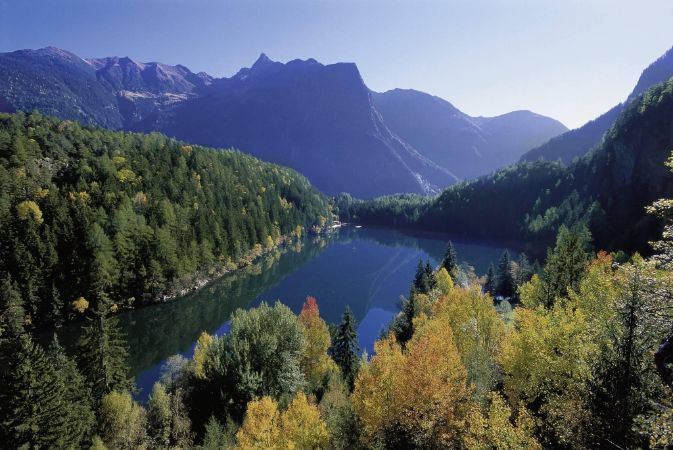 Bild Sommer 1 Bild Sommer 1