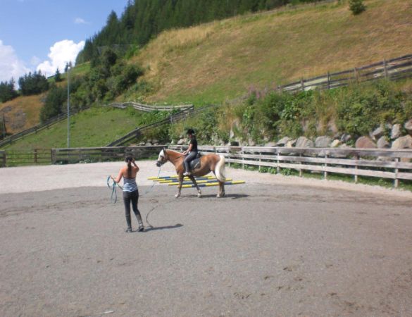 Reitunterricht Reitunterricht