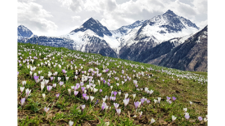 Wallpaper Burgstein bei Längenfeld