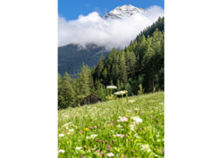 Wallpaper Landschaft Längenfeld