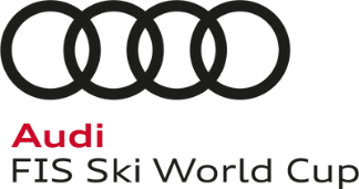 AUDI FIS