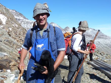 Ein schwarzes Schaf ist wohl immer dabei! © Dagmar Gehm