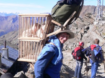 Mit zwei Lämmern Huckepack Richtung Tal © Dagmar Gehm
