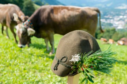 Haiming Ötztal Hat Cow