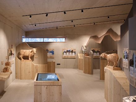 Natur Park Haus Längenfeld