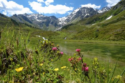 Fundustal Umhausen Sommer