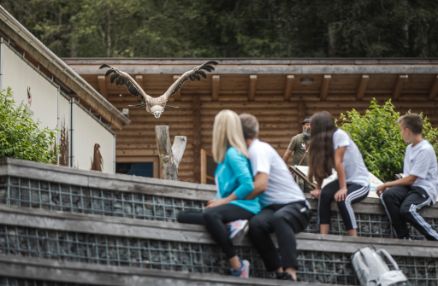 Birds of Prey Park Umhausen