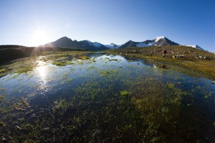 Vent Samoarsee Summer Landscape Ötztal