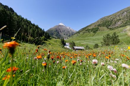 Bergsteigerdorf Vent