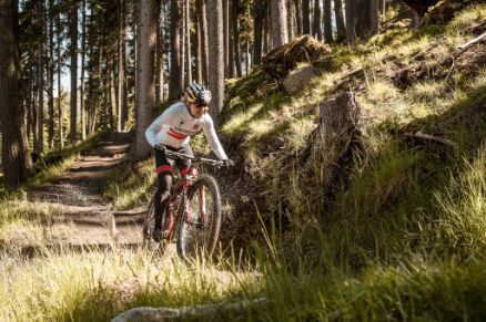 Laura Stigger, Trail