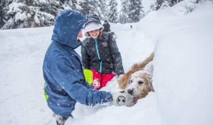 Ski holiday with dog