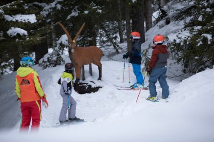 Children Parcour Hochoetz Skiing