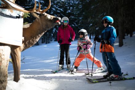 Children Parcour Hochoetz Skiing