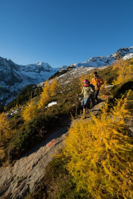 Hiking Ötztal Stabele Alm Landscape