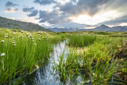 Seenplatte Obergurgl Landscape Panorama Ötztal