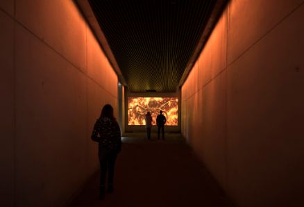 Barrel of the Gun Elements