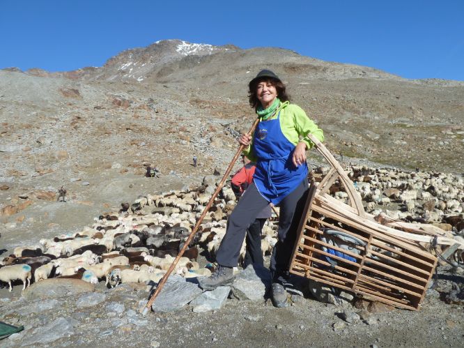 Hilfshirtin Dagmar mit Schäferausrüstung: Der lange Hirtenstab darf auf keinen Fall fehlen! © Dagmar Gehm