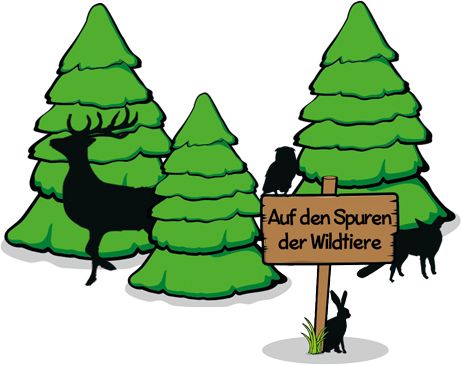 On the traces of wild animals