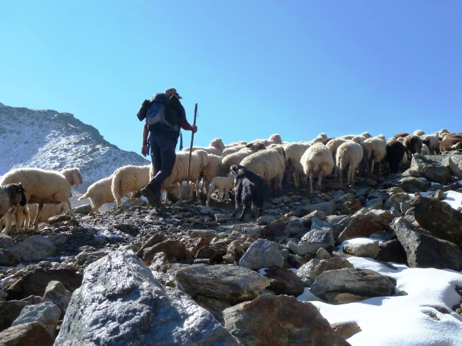 Vent Samoarsee Wandern Ötztal