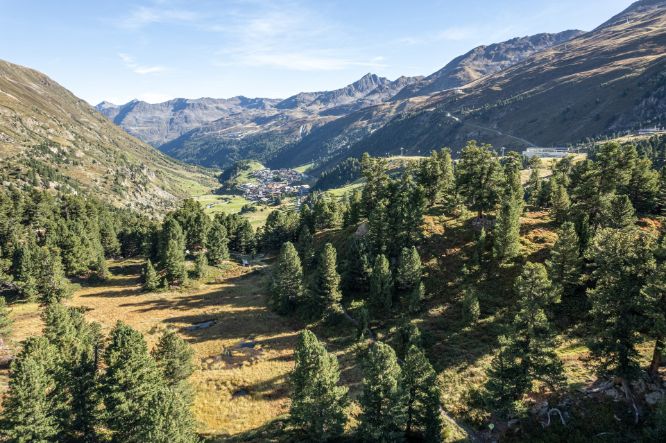 gurgl_zirbenwald_01_22