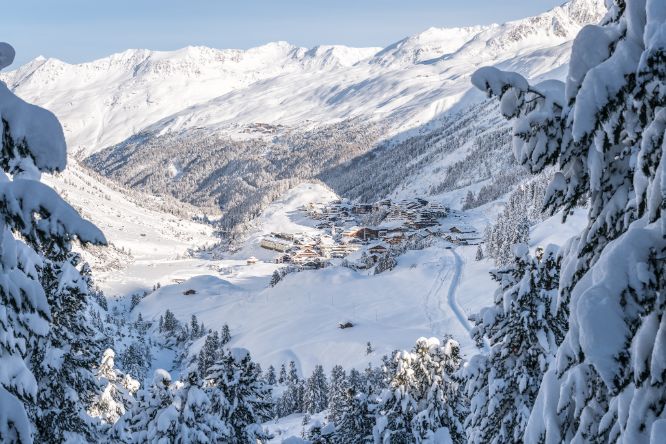 Ski holiday with dog